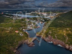 Quidi Vidi